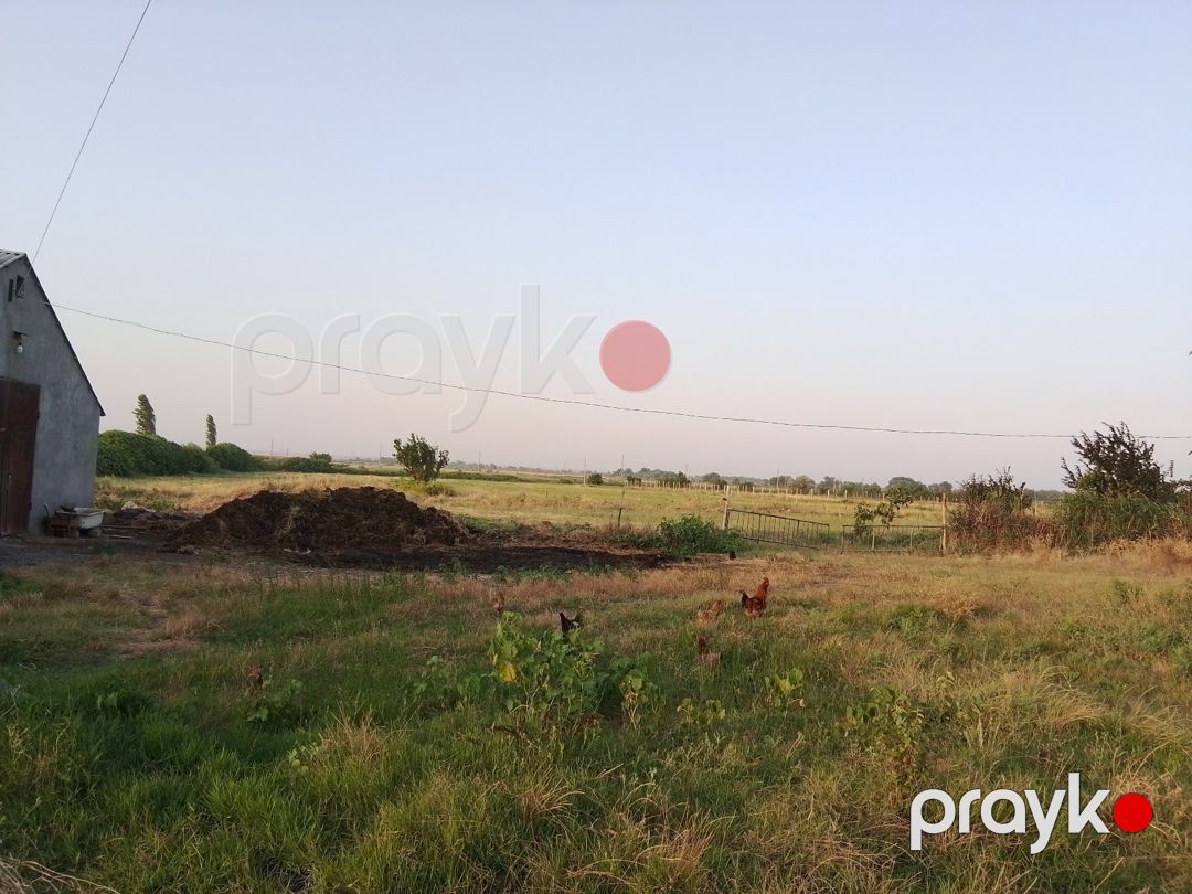 600 sot torpaq sahəsi, Şabran r — Torpaq, Şabran (12)