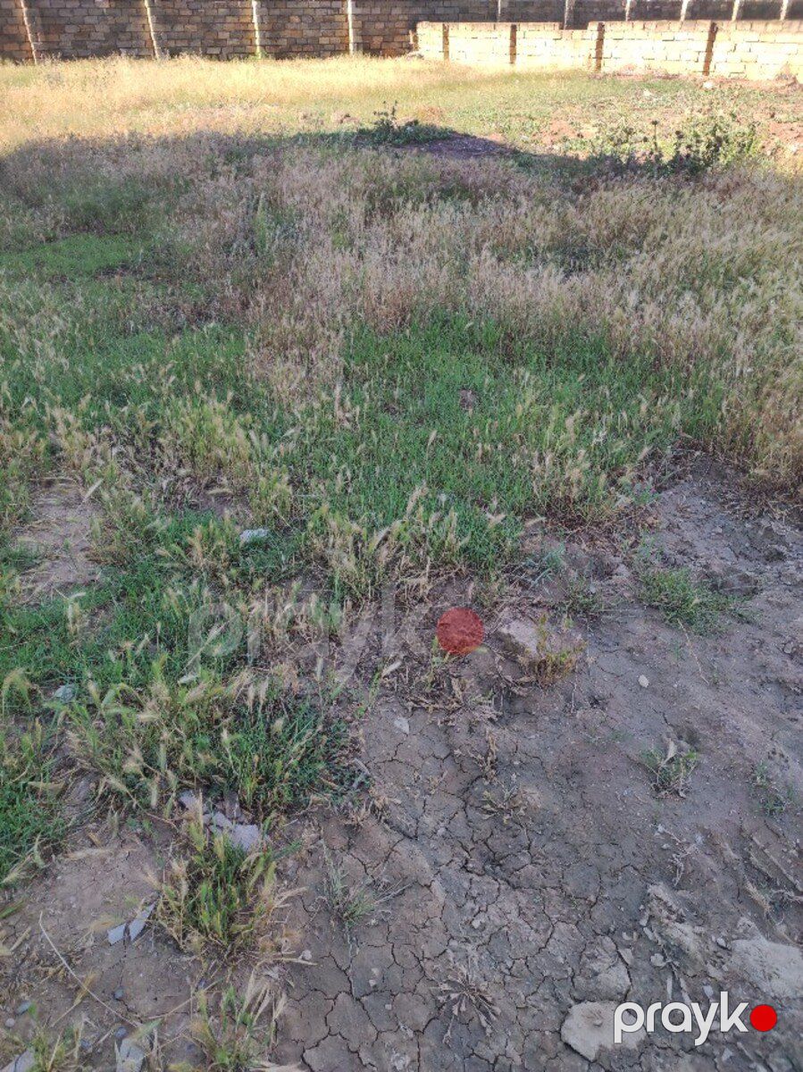 Satılır torpaq 5 sot — Torpaq, Bakı (4)