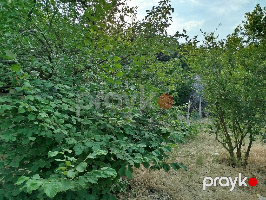 Satılır torpaq 10 sot — Torpaq, Bakı (5)