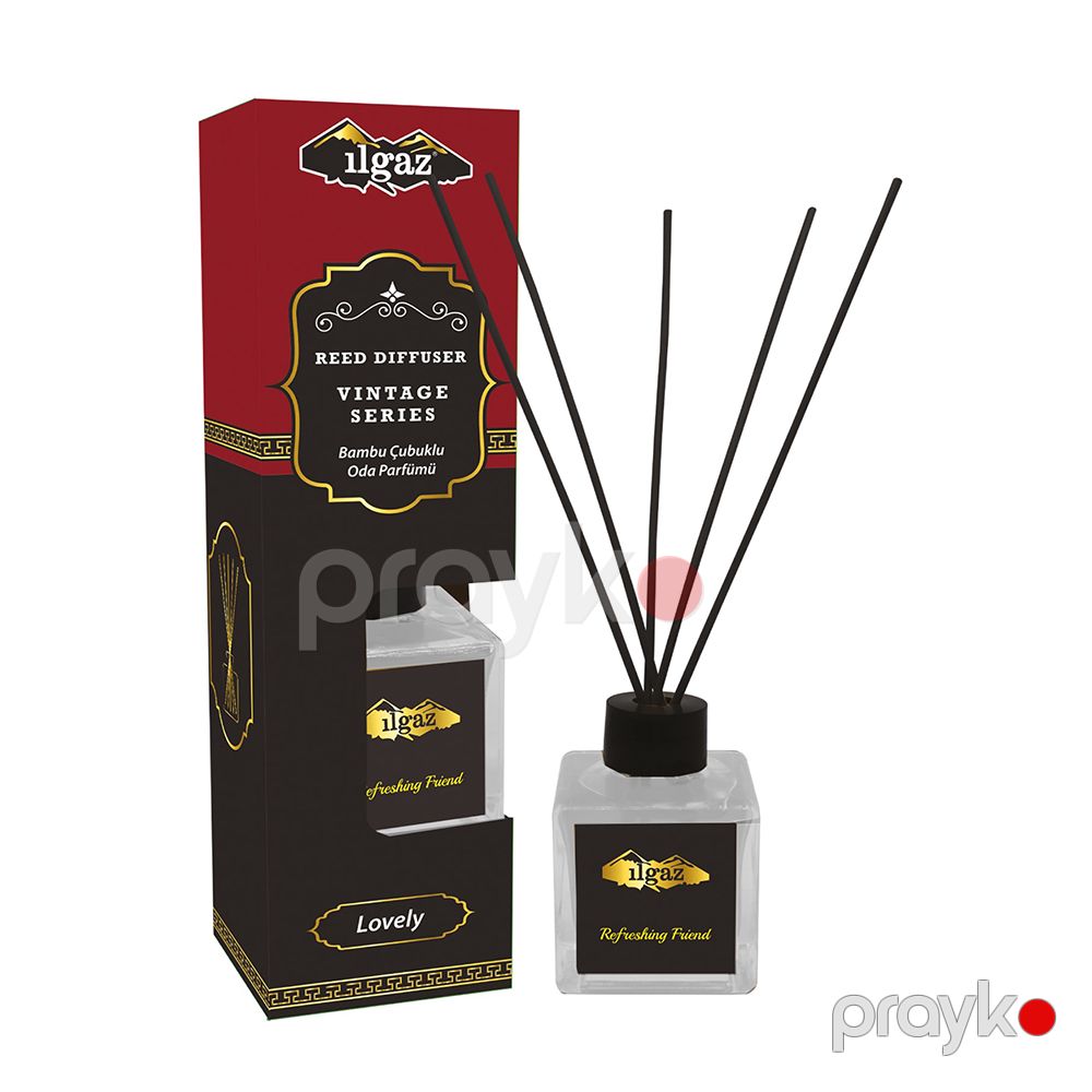 Ilgaz Qalıcı Otaq Ətiri 100 ml Bambuk Çubuqlu Mühit Ətri — Ətir, Bakı (4)