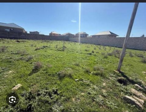 14 sot, Tikinti, Mülkiyyətçi, Kupça (Çıxarış) — Göyçay