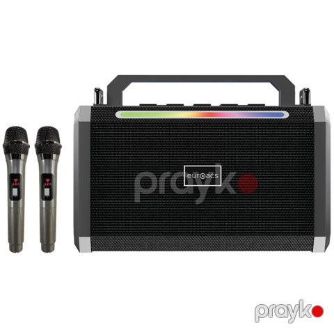 Portativ akustika Euroacs EU-S815 Vibesing 60W / ASESBA842539 — Bakı