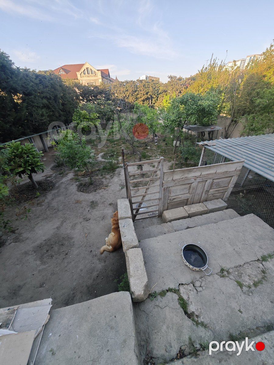 Satılır torpaq 8 sot — Torpaq, Bakı (2)