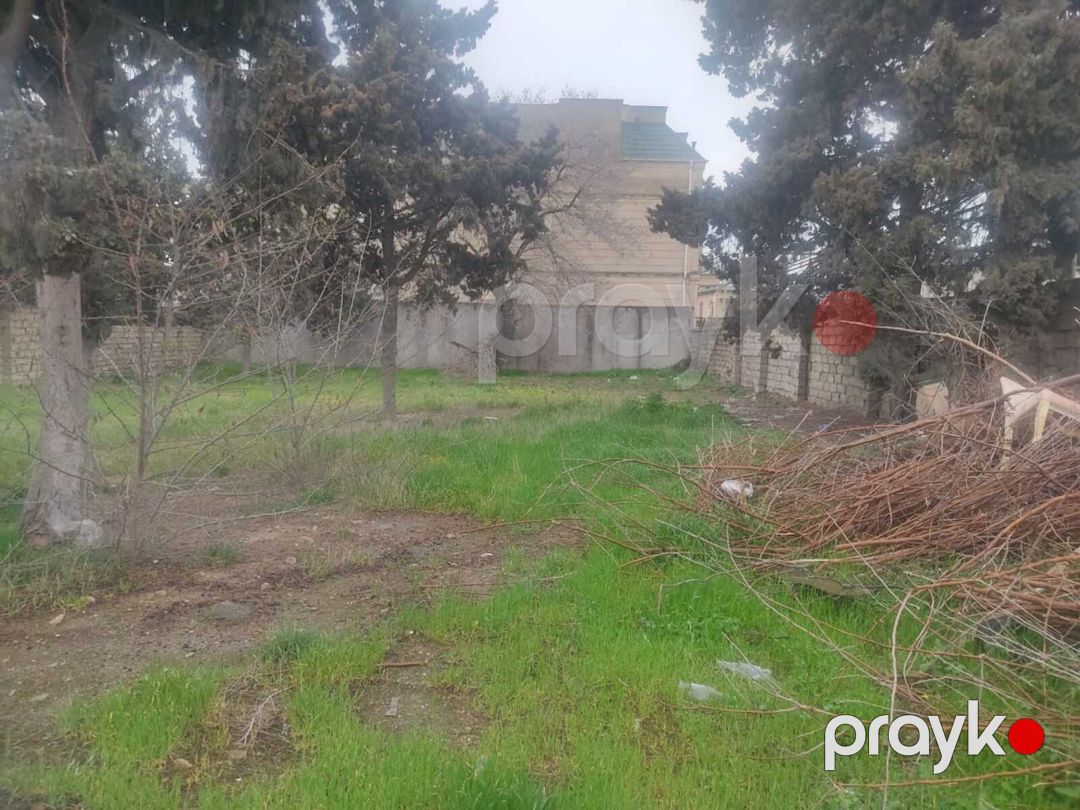 Satılır torpaq 8 sot — Torpaq, Bakı (2)