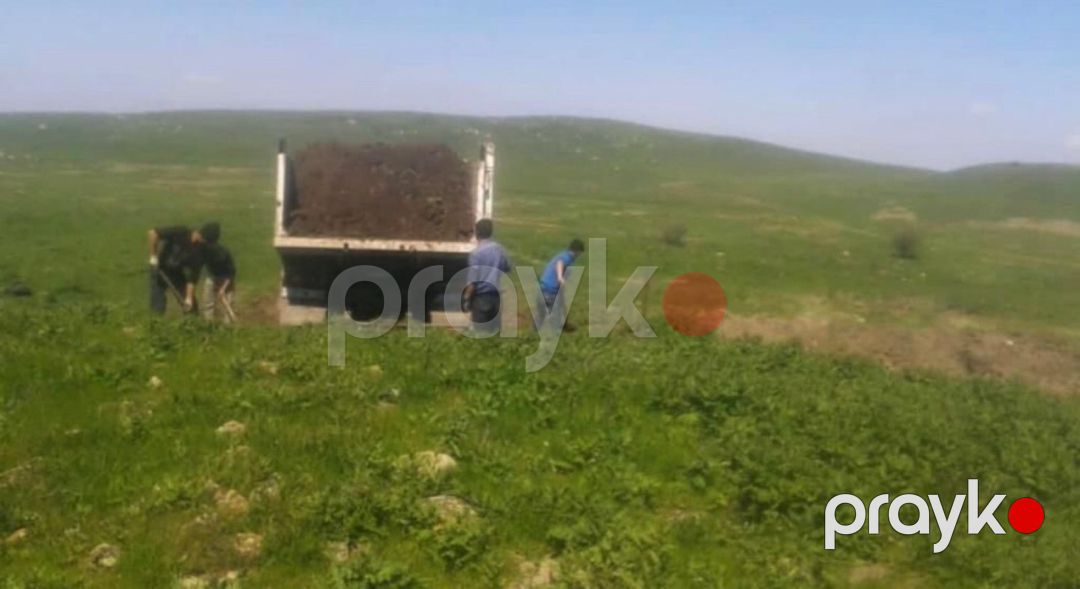 Qara torpaq — Dacha və bağ, Bakı (5)