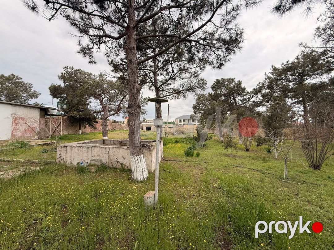 Satılır torpaq 25 sot — Torpaq, Bakı (8)