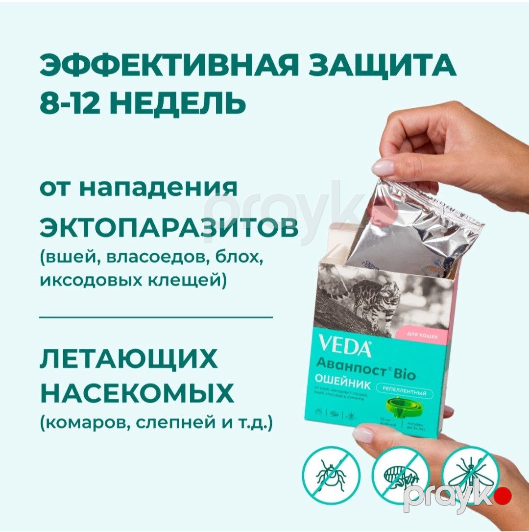 Boyunluq Veda pişiklər üçün, plastik, açıq yaşıl, 35 sm — Mallar, Bakı (3)