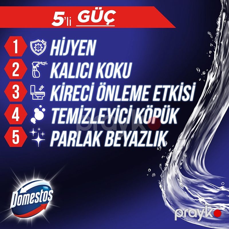 Domestos Wc Blok 50 Gr Cam Ferah Çam Ferahlığı Tuvalet Bloğu Domestos 5li Çam Ferahlığı Maksimum Hijyen — Mallar, Bakı (4)