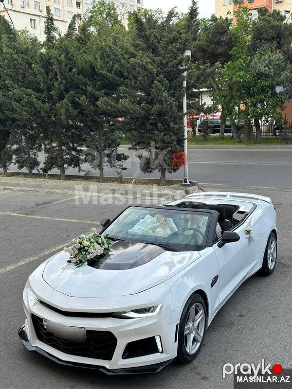 Chevrolet camaro, 2022 il — Minik avtomobili icarəsi, Bakı (8)