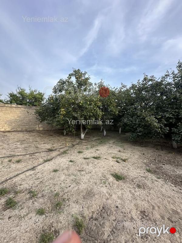 Satılır Torpaq sahəsi, 3 sot, Qurd dərəsi — Torpaq, Sumqayıt (2)