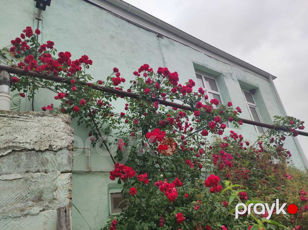 Satılır 4 otaqlı həyət evi/bağ evi 122 m² — Ev, villa, Şəmkir (3)