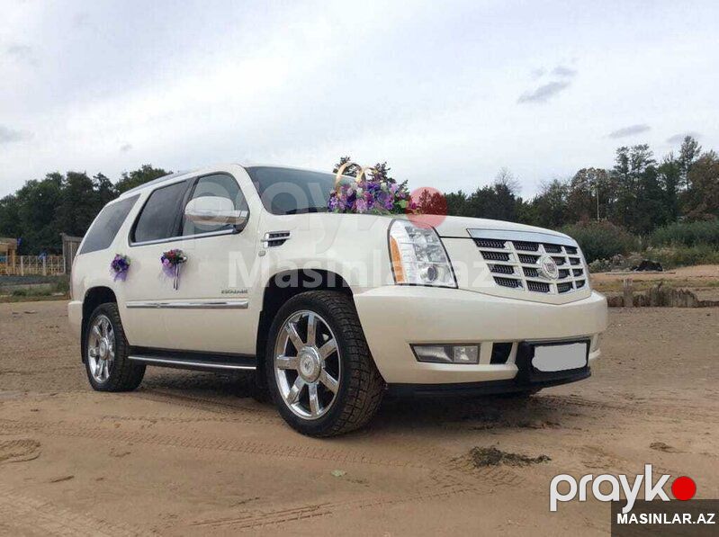 Cadillac escalade, 2013 il — Minik avtomobili icarəsi, Bakı (2)