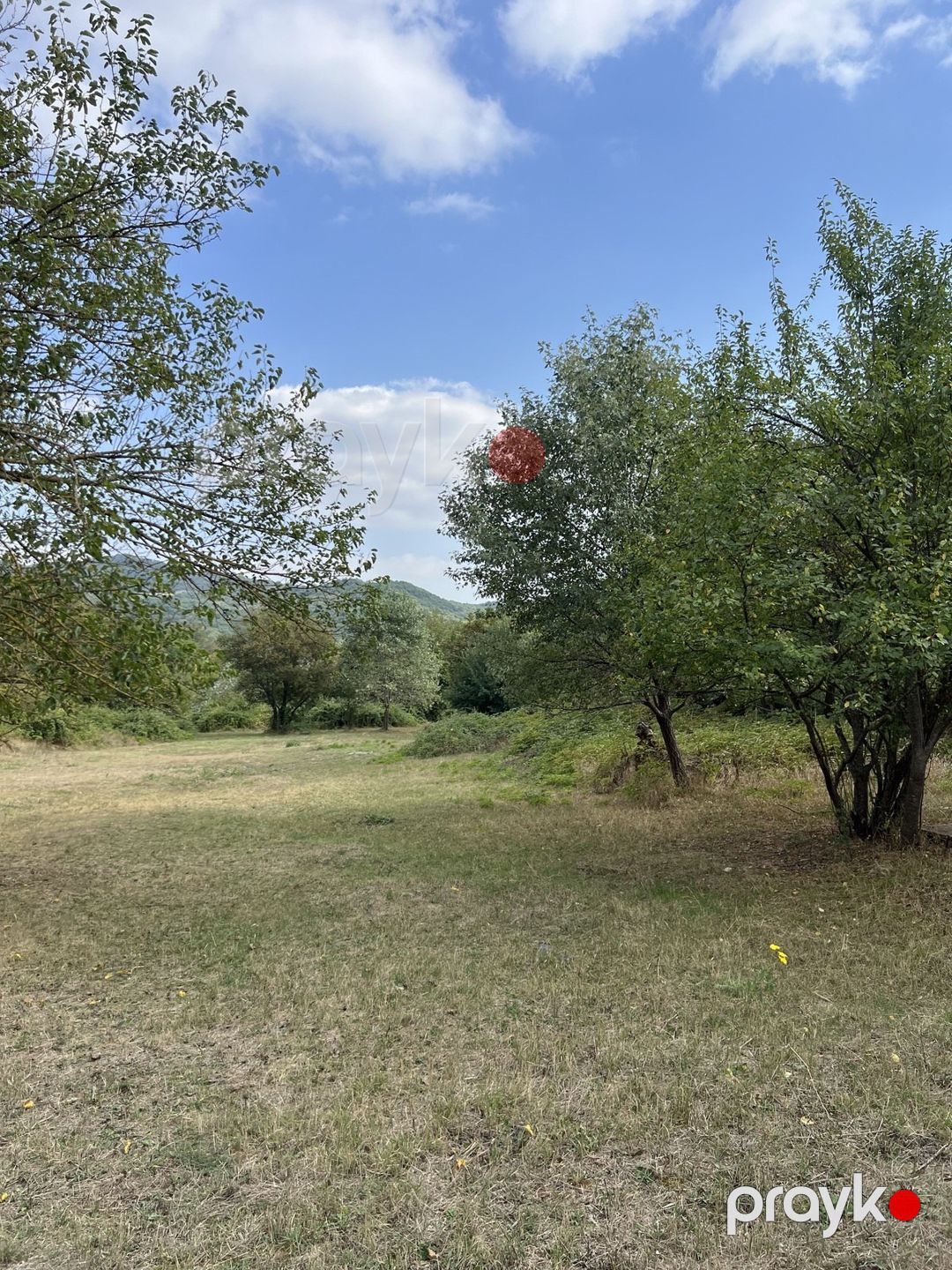 Satılır torpaq 10.5 sot — Torpaq, Şamaxı (10)