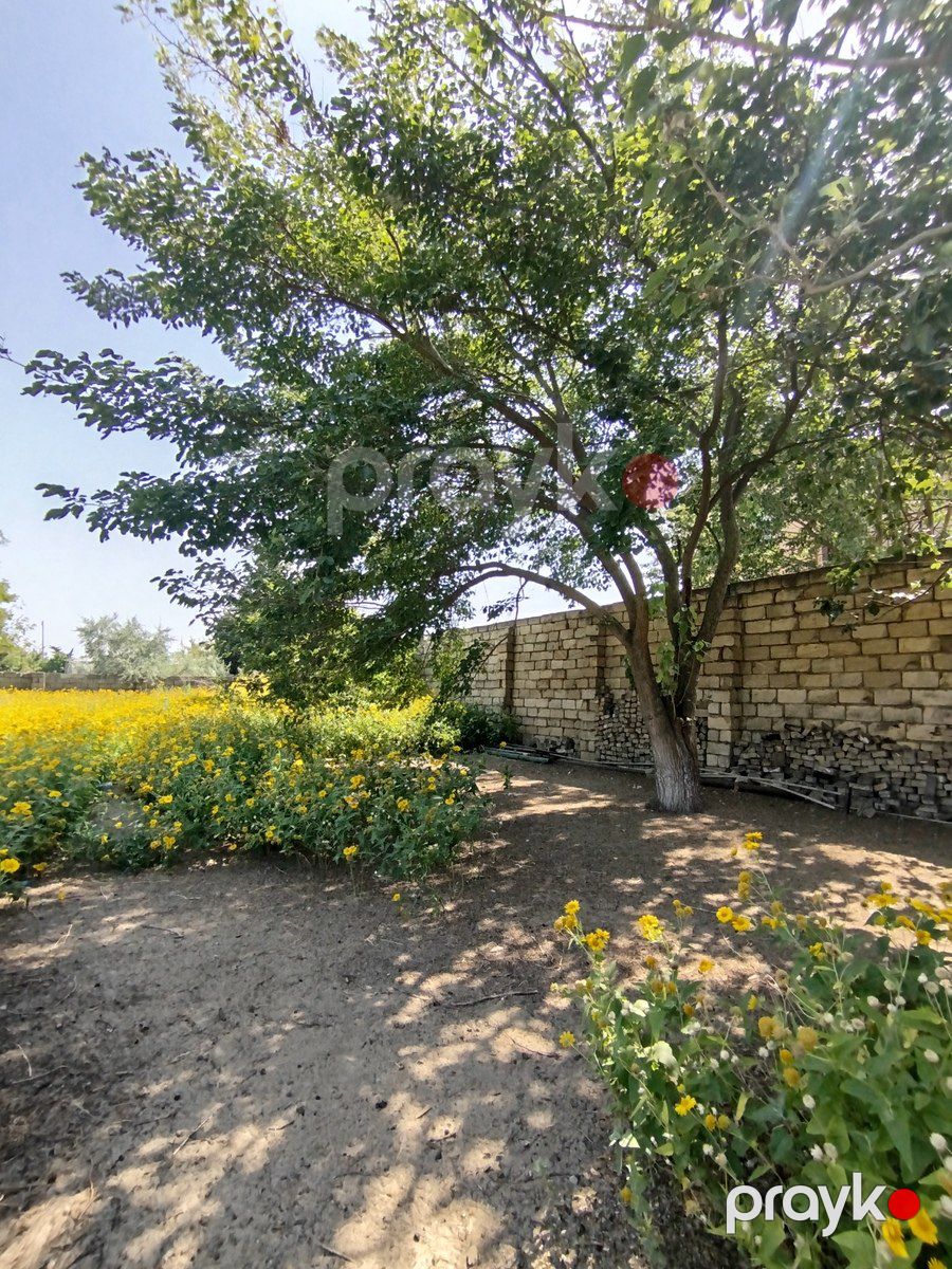 Satılır torpaq 10 sot — Torpaq, Bakı (5)
