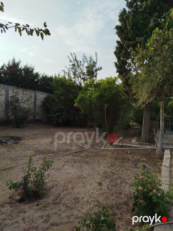 Satılır torpaq 10 sot — Torpaq, Bakı (3)