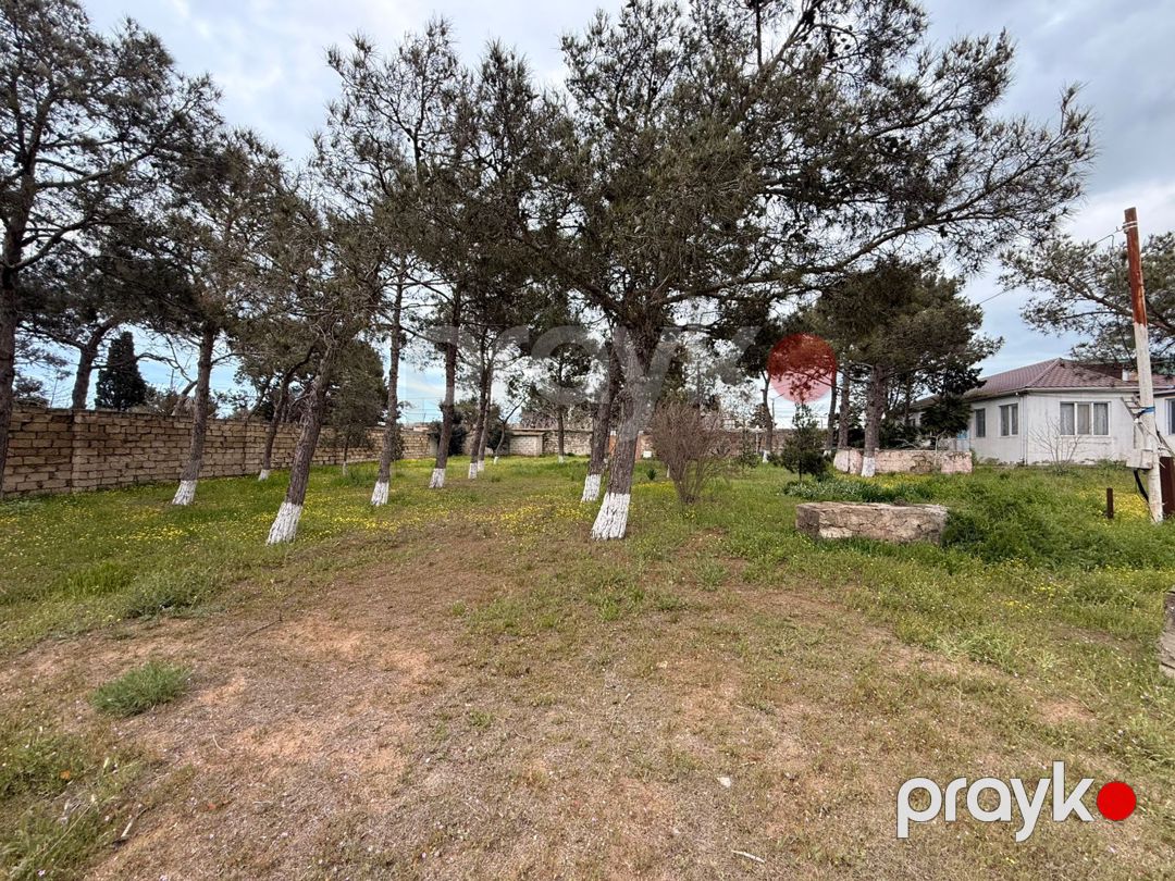 Satılır torpaq 25 sot — Torpaq, Bakı (3)