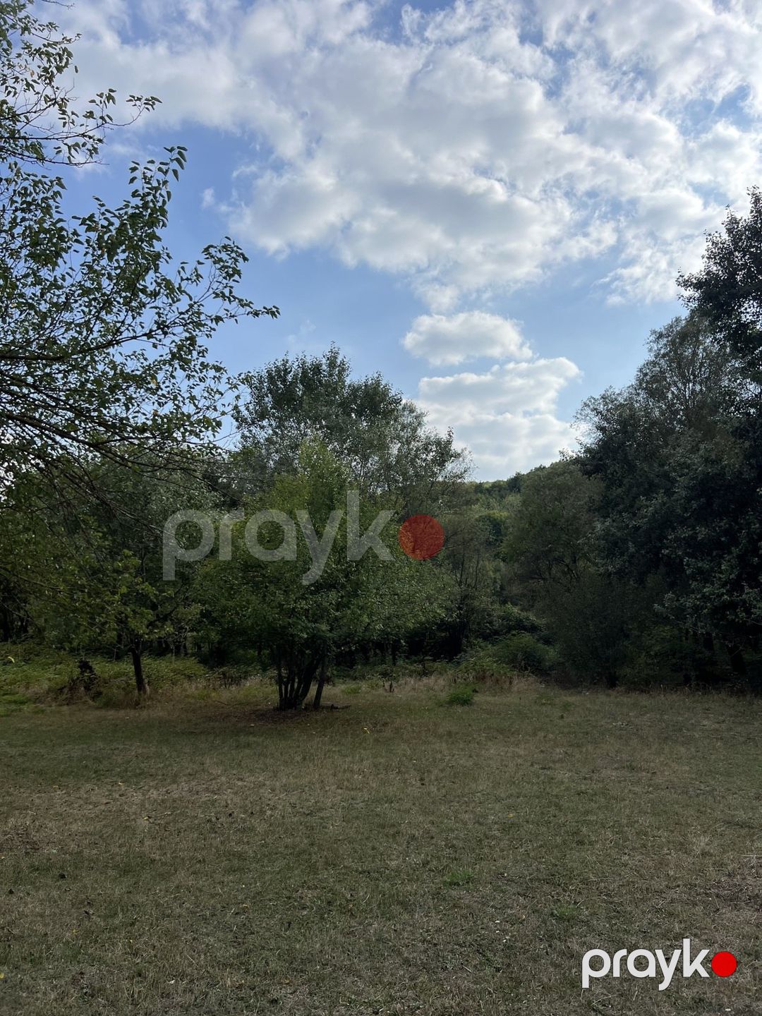 Satılır torpaq 10.5 sot — Torpaq, Şamaxı (8)