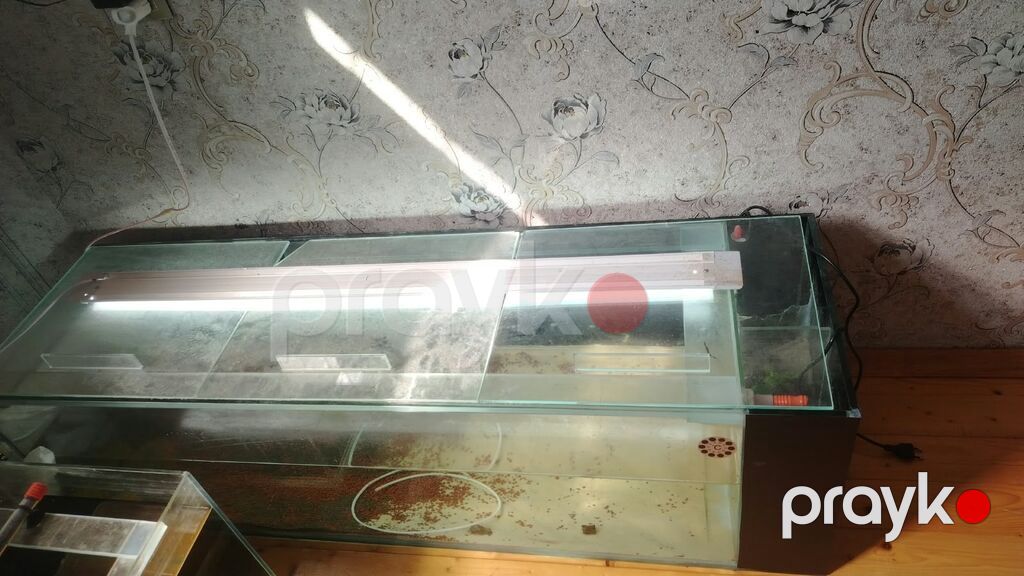 Dördbucaq akvarium, Boş, 250 l — Akvariumlar və balıqlar, Sumqayıt (4)