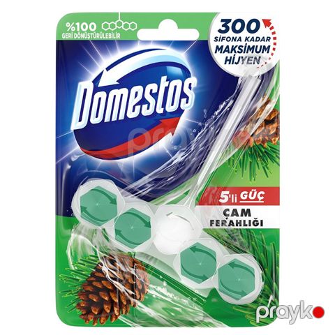 Domestos Wc Blok 50 Gr Cam Ferah Çam Ferahlığı Tuvalet Bloğu Domestos 5li Çam Ferahlığı Maksimum Hijyen — Bakı