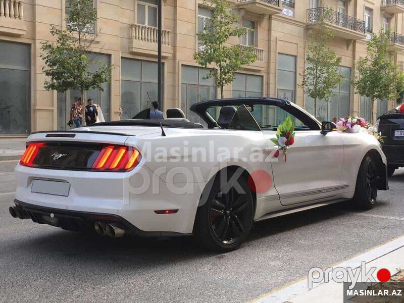 Mustang Coupe 2022 — Minik avtomobili icarəsi, Bakı (5)