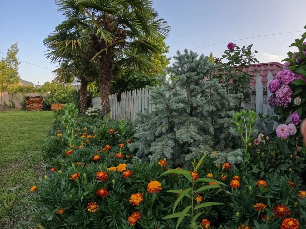 4 otaqlı Həyət evi Satılır, Zaqatala — Ev, villa, Zaqatala (9)