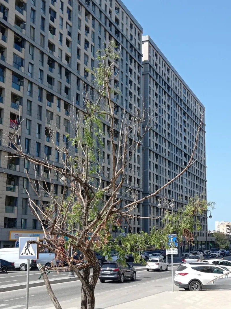 Satılır 3 otaqlı Mənzil Yeni tikili 71.3 m² Bakı, Xətai r — Mənzil, Bakı (3)