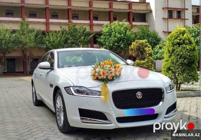 Jaguar jaguar xf, 2021 il — Minik avtomobili icarəsi, Bakı (9)