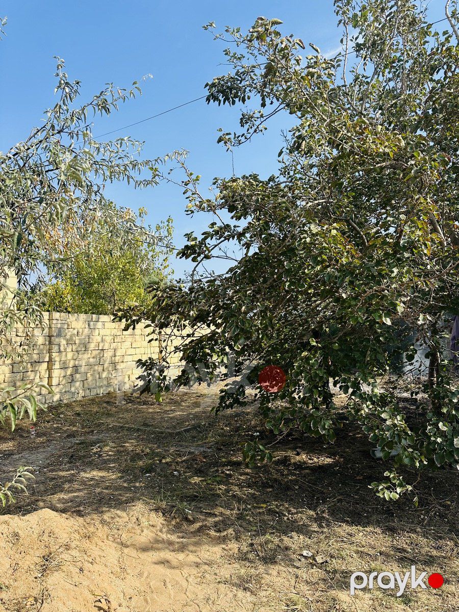 Satılır torpaq 4.2 sot — Torpaq, Bakı (7)