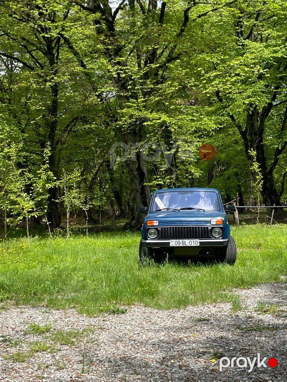 Lada (VAZ) Niva, 1.9 L, 2015 il, 156 000 km 09-BL-010 — Avtomobillər, İsmayıllı (6)