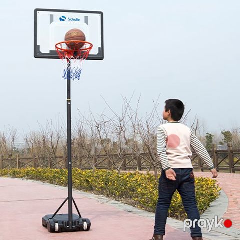 Basketbol Stendi Scholle S0182 Açıq Qapalı Hava İstifadəsi Üçün Uyğun Basketbol Stendi Konteynerli Basketbol Seti — Bakı