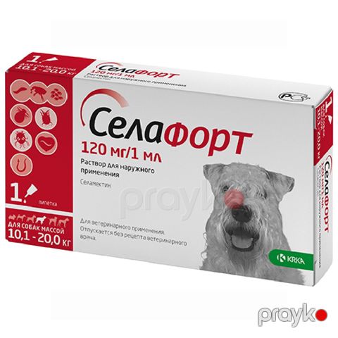 Damcı Селафорт itlər üçün, bit, birə, gənə və helmintlərə qarşı, 120 mq/1 ml — Bakı