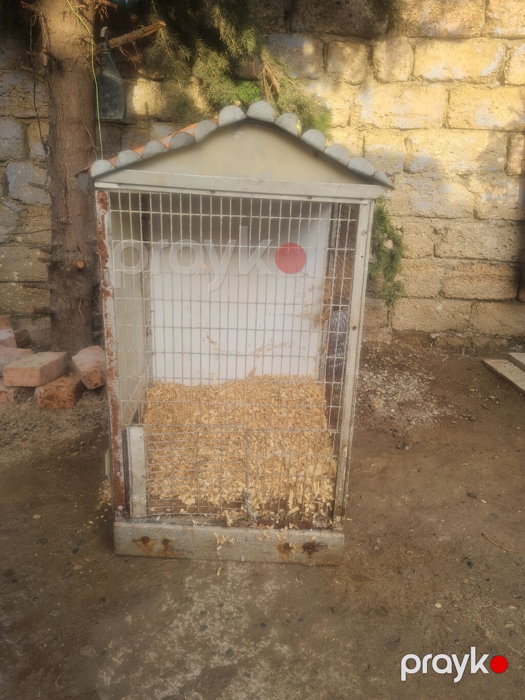 Metall qəfəs – quşlar üçün hayvanlar üçün - Material: möhkəm metal — Qəfəslər, Digah (2)