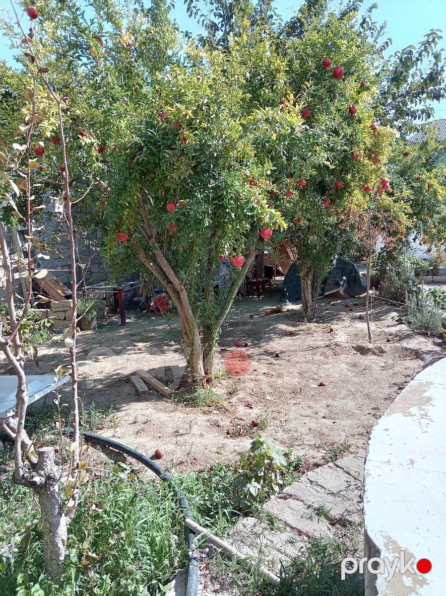 Satılır torpaq 3 sot — Torpaq, Bakı (2)