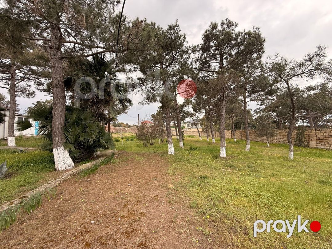 Satılır torpaq 25 sot — Torpaq, Bakı (4)