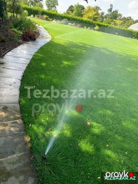 Ağac və kolların budanması — Digər, Bakı (5)