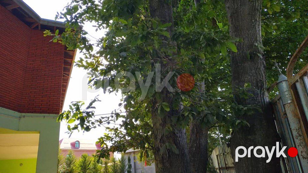 Həyət evi kirayə verilir, Lənkəran ş — Ev, villa, Lənkəran (6)