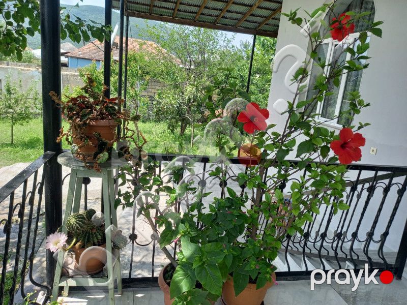 3 otaqlı Bağ evləri, Kirayə (gündəlik), Şəki — Ev, villa, Şəki (7)