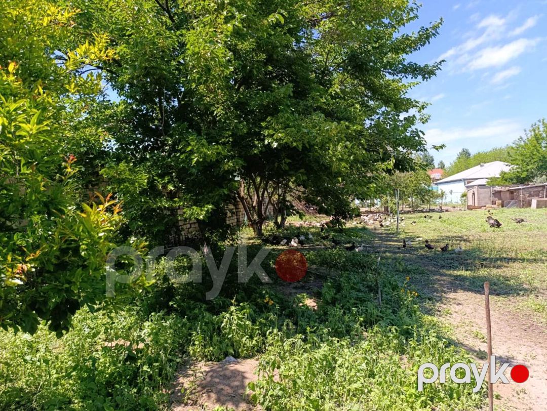 Satılır torpaq 15 sot — Torpaq, Bakı (4)
