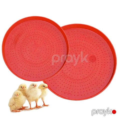 Toyuq cücə üçün podnos ilm0200-2312 — Bakı