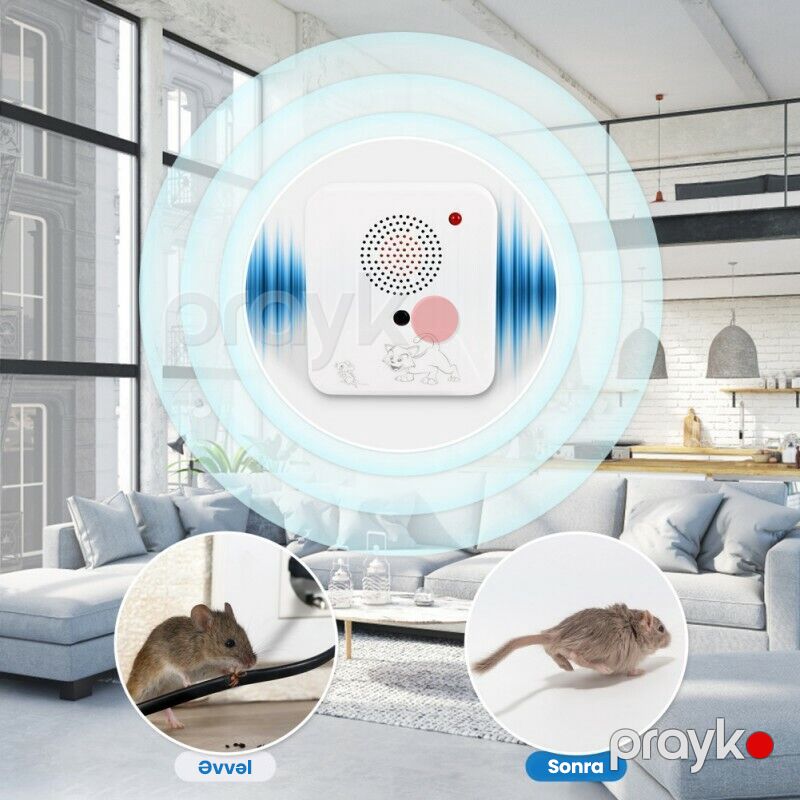 Elektron Ultrasəs Zərərverici Qoruyucu Siçanlara Qarşı Hörümçək Ağcaqanad Qovucu Effektiv Həşarad Qovucu Zərərli Gəmirici Qoruyucusu — Mallar, Bakı (5)