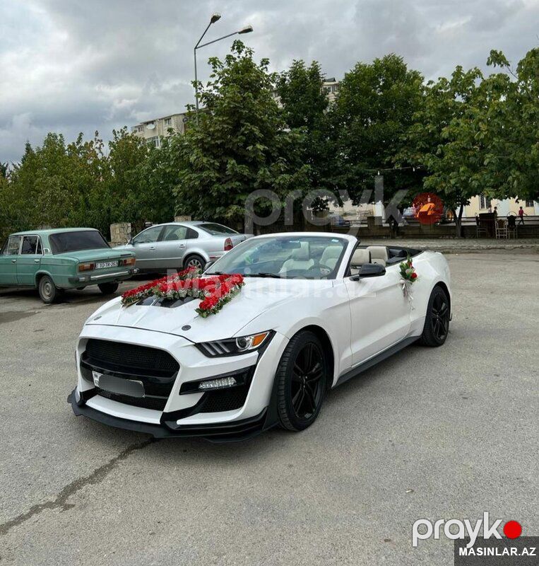 Ford Mustang Coupe, 2022 il 90-SR-228 — Minik avtomobili icarəsi, Bakı (2)