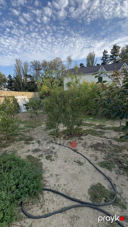 Satılır 4 otaqlı həyət evi/bağ evi 110 m² — Ev, villa, Bakı (4)