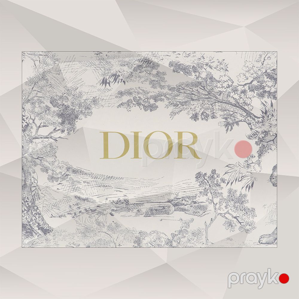 Göy Gradient Ombre Stili Christian Dior Dior Lady Qadın Çantası Mavi — Çantalar, çamadanlar, cüzdanlar, Bakı (7)