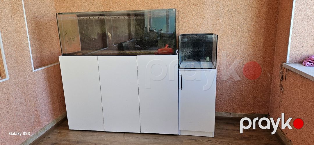 Akvarium — Akvariumlar və balıqlar, Bakı (2)