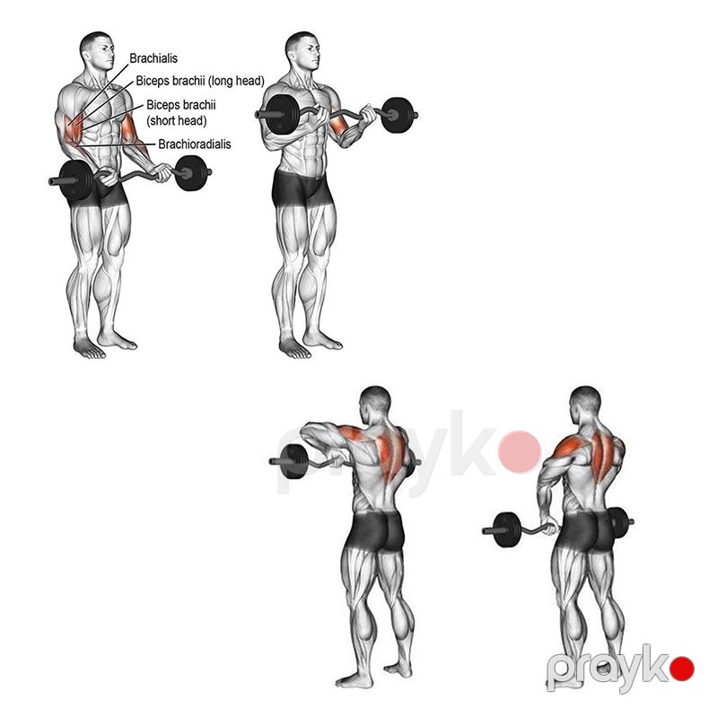 Ağır Atletika Ştanqası Xrom Barbell Bar 1.5M Polad Ştanq Çubuğu Xrom Ağırlıq Qaldırma Qrift Dəsti Polad Barbell Çubuq — Fitness və simulyatorlar, Bakı (3)