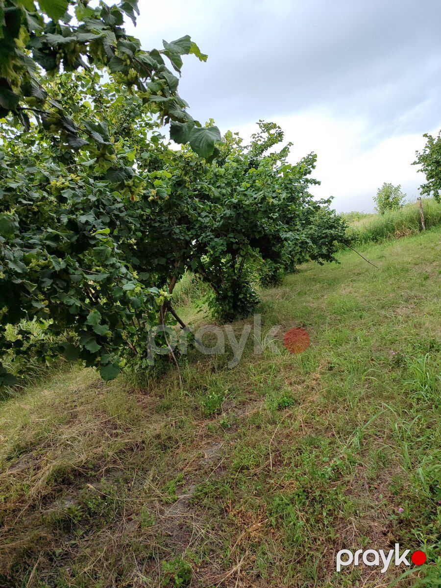 10 sot torpaq sahəsi, Xaçmaz r — Torpaq, Xaçmaz (9)