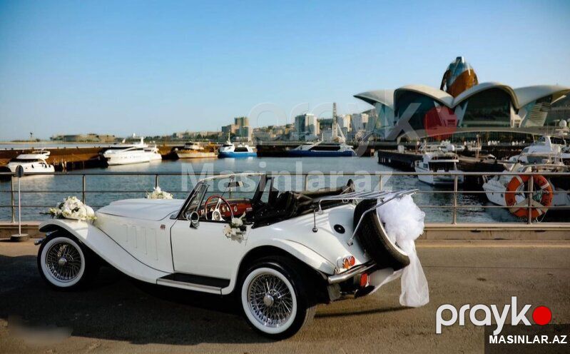 Jaguar jaguar kallista phantera callista, 1955 il — Minik avtomobili icarəsi, Bakı (6)