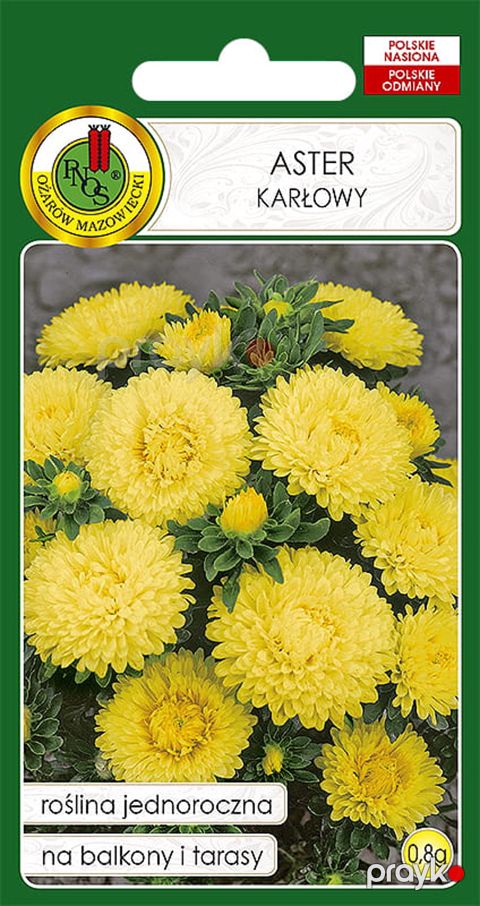 Çiçək toxumları Pnos Aster Karlowy, sarı, 0.8 q — Bakı