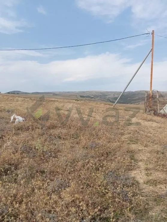 6 sot Torpaq Satılır, Şamaxı — Torpaq, Şamaxı (9)
