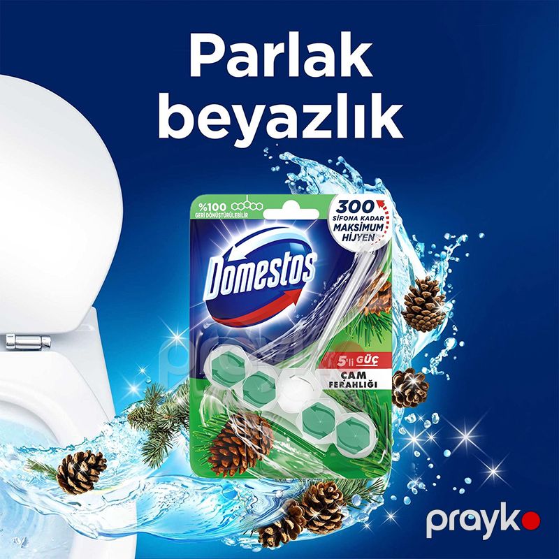 Domestos Wc Blok 50 Gr Cam Ferah Çam Ferahlığı Tuvalet Bloğu Domestos 5li Çam Ferahlığı Maksimum Hijyen — Mallar, Bakı (2)